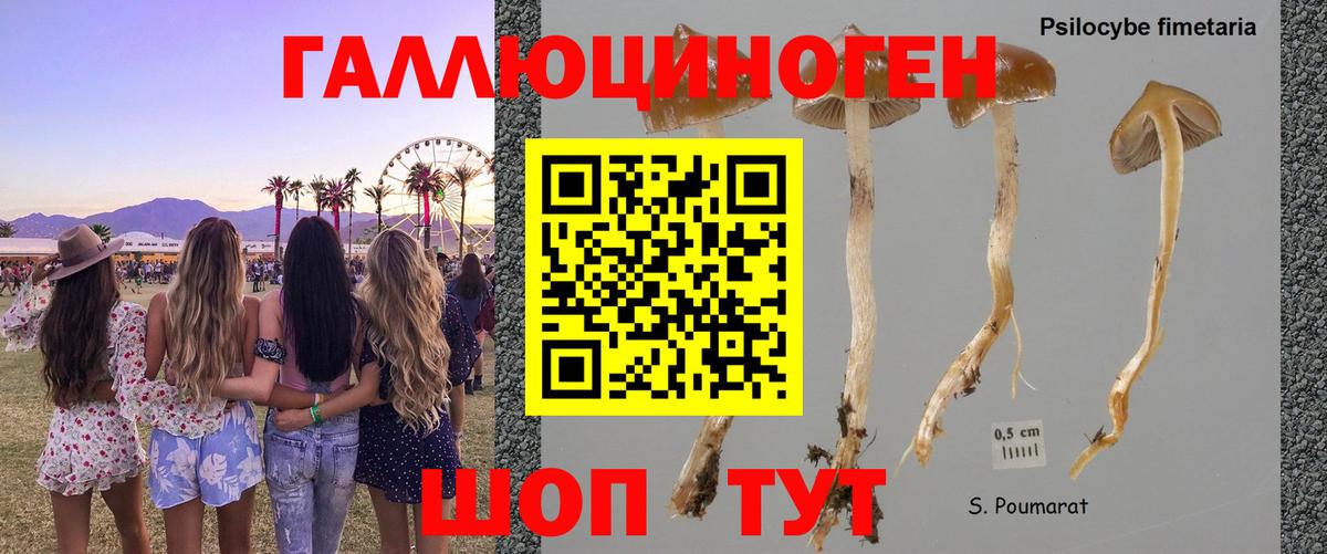 Псилоцибиновые грибы мицелий Первоуральск